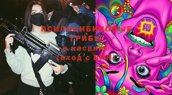 эйфоретик Алзамай