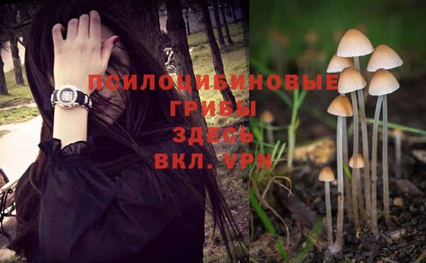 соль курить ск Алексин