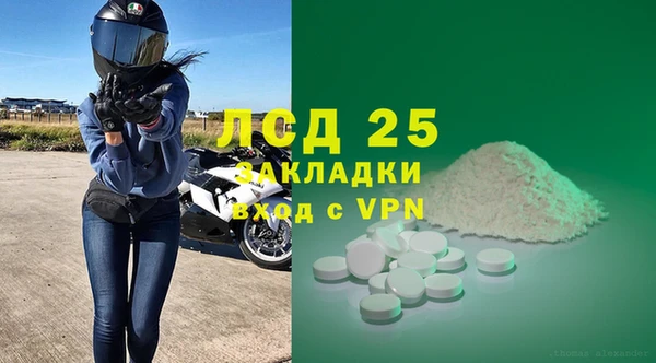эйфоретик Алзамай