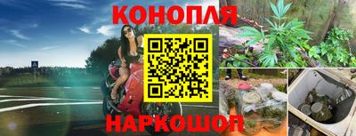 a pvp Волжск