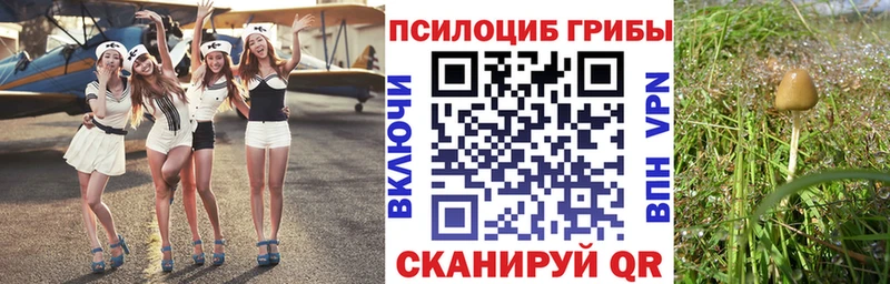 Галлюциногенные грибы Cubensis  дарнет шоп  Карпинск 