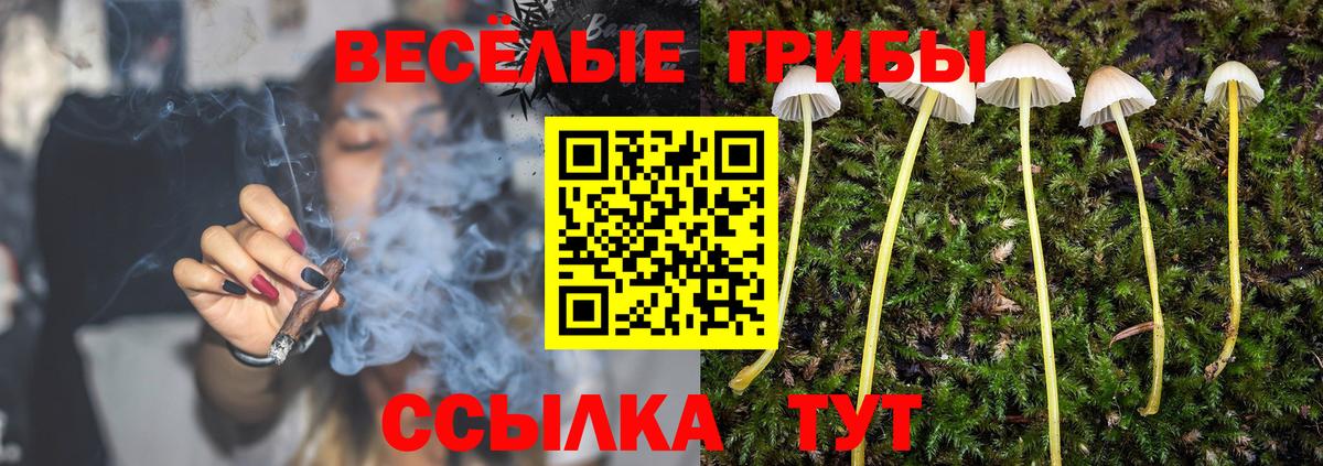 Галлюциногенные грибы MAGIC MUSHROOMS  купить наркоту  Карпинск  Вход с VPN 