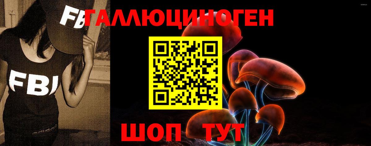 Галлюциногенные грибы GOLDEN TEACHER Карпинск